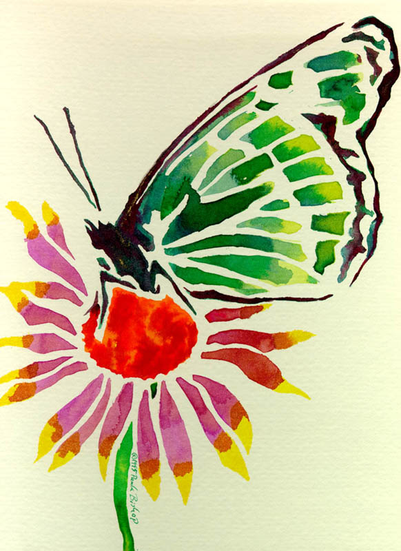 Butterfly on flower