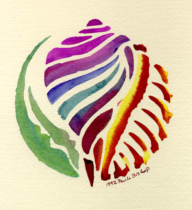 Conch shell