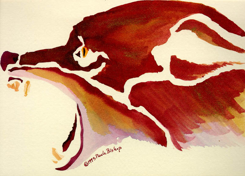 Cry Wolf