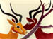 Ibexes