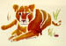 Lioness